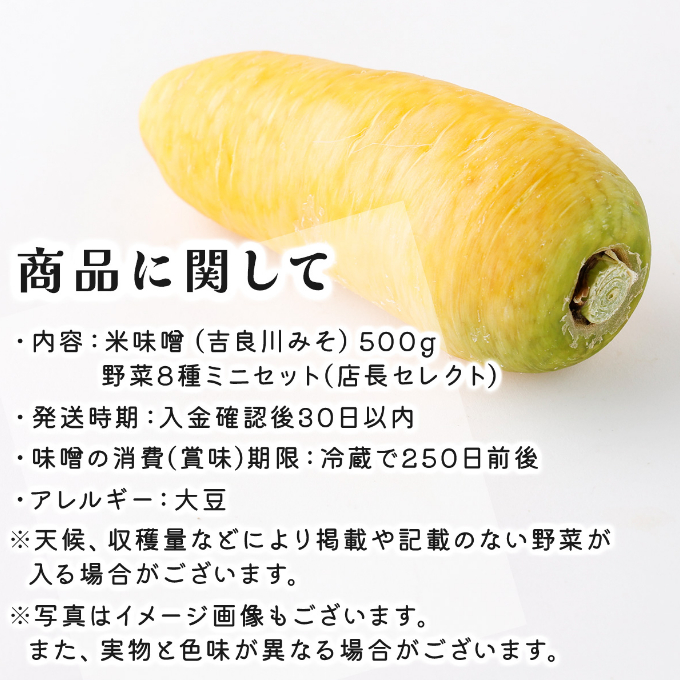 お味噌 (550g) 野菜 (8品) セット 詰め合わせ 旬 おまかせ 新鮮 やさい 味噌 みそ 吉良川みそ 調味料 高知県 室戸市 5000円 送料無料 rk014