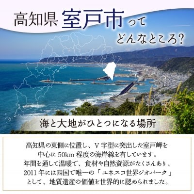 チョコレートパウンドケーキ 無添加 手作り 洋菓子 ショコラ チョコレートケーキ チョコ 濃厚スイーツ ご当地スイーツ ギフト 贈答用 冷蔵 送料無料 ふるさと納税 高知県室戸市 Scure（スクレ）