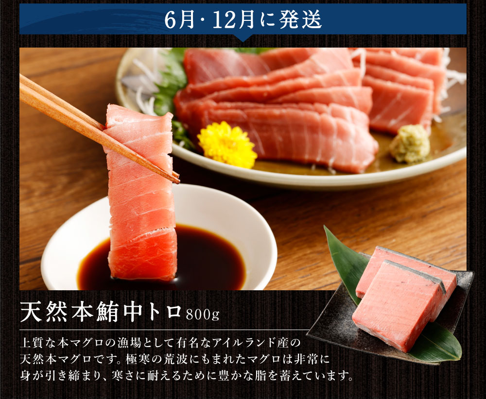 海からの贈り物！マグロとカツオの定期便【５回お届け】 海鮮 魚 刺身 まぐろ 鮪 かつお 鰹 たたき 高知