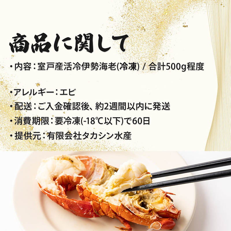 室戸産活冷伊勢海老【約５００g】