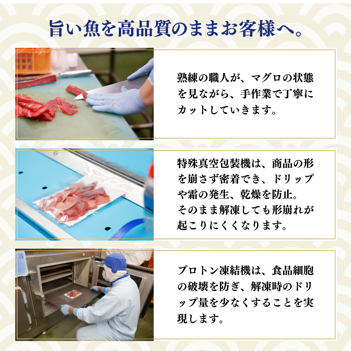 【 定期便 全３回 隔月 お届け 】天然メバチマグロ中トロセット５００ｇ( ２カ月に１回　合計３回 メバチマグロ サク 柵 )