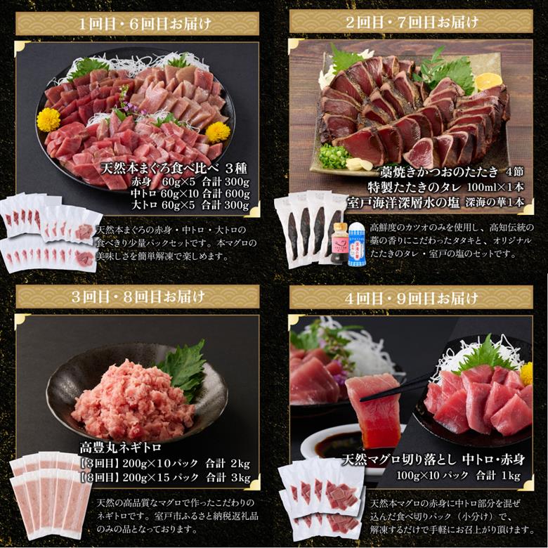 【 全10回定期便 】 厳選 高知の海鮮セット 本まぐろ かつおのたたき ネギトロ 魚介 海鮮 定期便 福袋 食べ比べ 贅沢