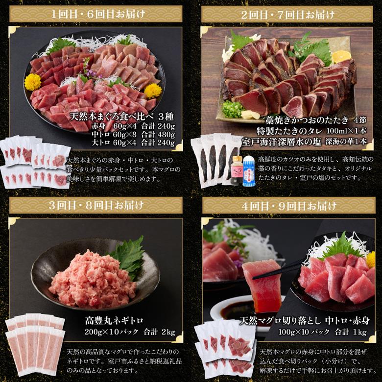 【 全10回定期便 】 厳選 高知の海鮮セット 本まぐろ かつおのたたき ネギトロ 魚介 魚 海鮮 福袋 定期便 詰め合わせ 食べ比べ 贅沢