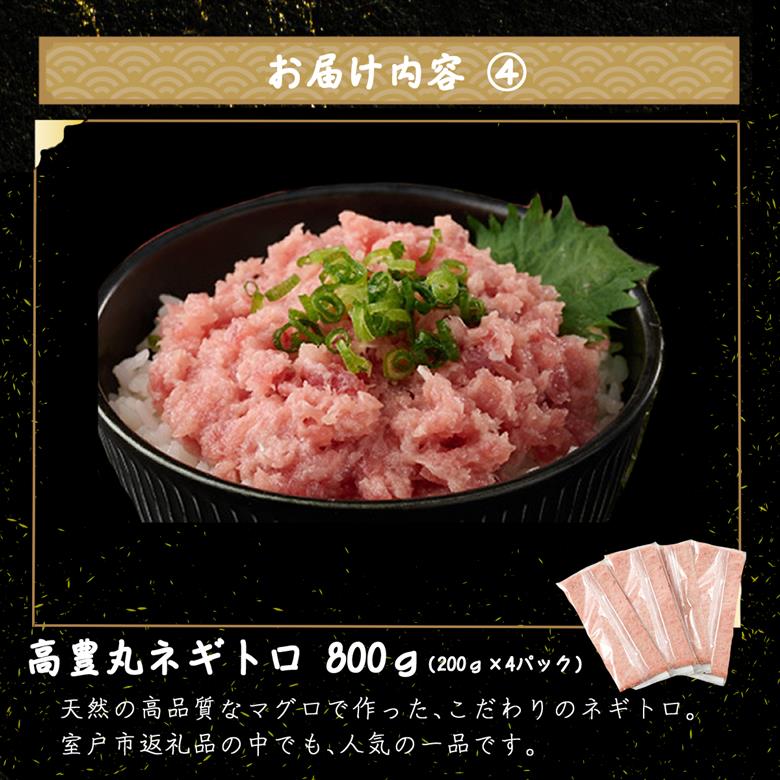 室戸の海の幸バラエティセット 5種詰め合わせ 100,000円コース まぐろ マグロ カツオ かつおたたき 伊勢海老 伊勢えび  ネギトロ 福袋 セット 正月 高知 室戸