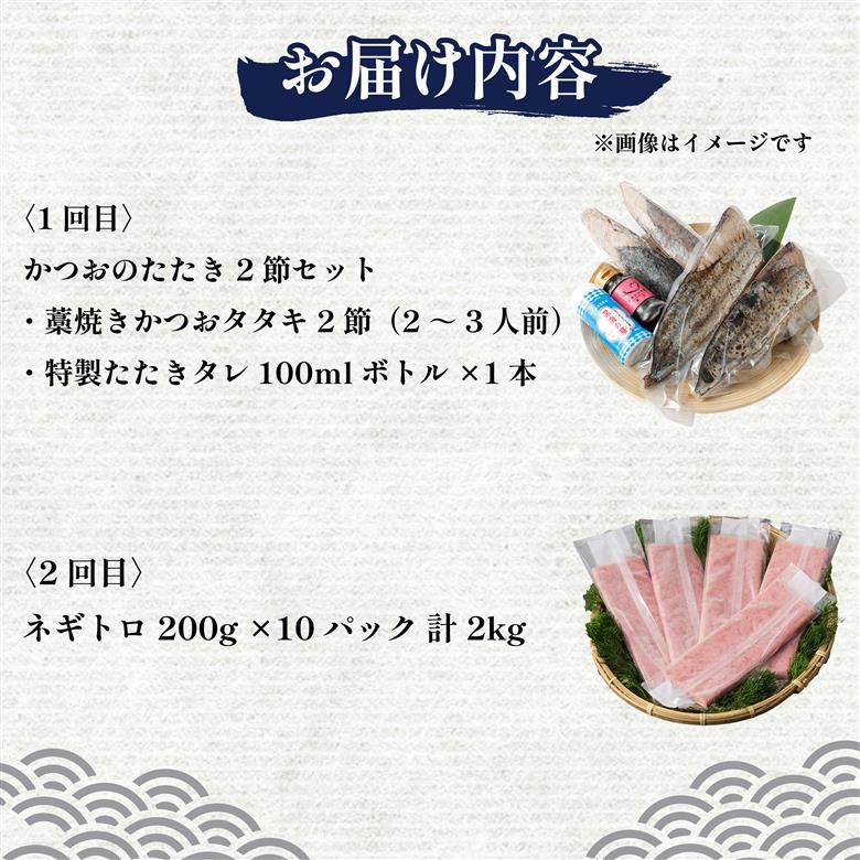 【 全2回定期便 】ネギトロ と カツオ の 定期便 海鮮 鮪 鰹 定期 セット まぐろ カツオのたたき ネギトロ 中トロ 刺身 海鮮 鰹 冷凍 魚 海産物 魚介類 高知県 まぐろたたき 鮪 藁焼き わら焼き タカシン定期便 海鮮定期便 頒布会