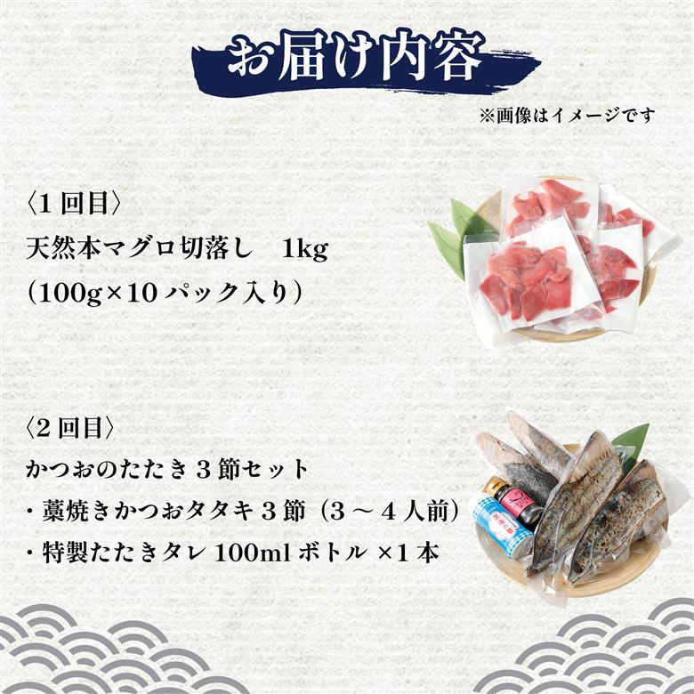 【 全2回定期便 】本マグロ と カツオ の 定期便 海鮮 鮪 鰹 定期 セット まぐろ カツオのたたき 本マグロ 中トロ 赤身 刺身 海鮮 鰹 小分け 冷凍 魚 海産物 魚介類 高知県 まぐろたたき 鮪 藁焼き わら焼き タカシン定期便 海鮮定期便 頒布会