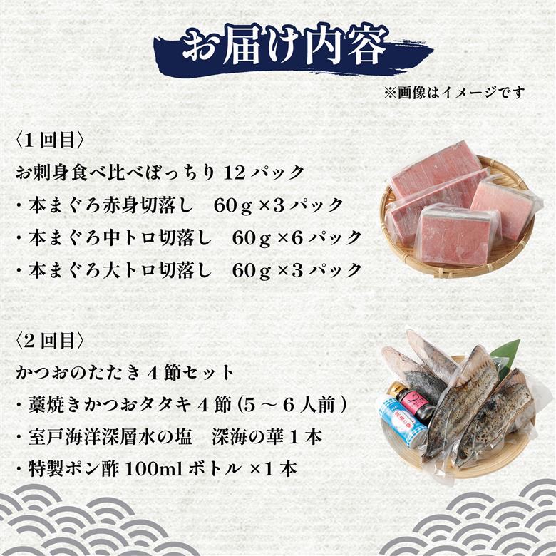 【 全2回定期便 】海鮮 食べ比べ セット 鮪 鰹 定期 セット まぐろ カツオのたたき 本マグロ 中トロ 赤身 刺身 海鮮 鰹 切り落とし 冷凍 海産物 魚介類 高知県 まぐろたたき 鮪 藁焼き わら焼き タカシン定期便 海鮮定期便 頒布会