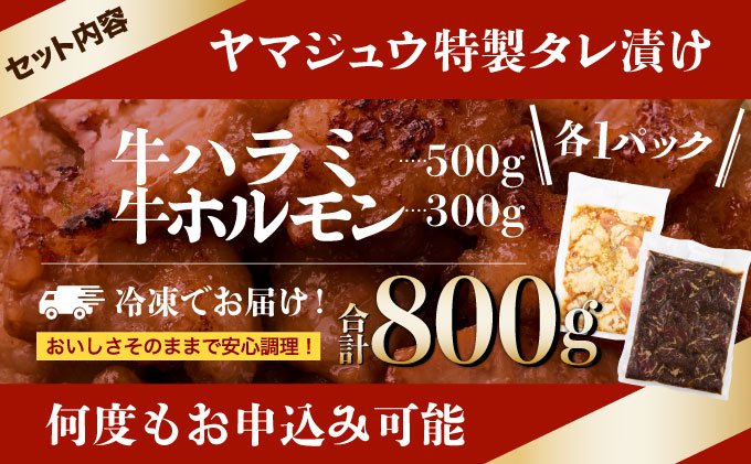 ヤマジュウの特選タレ漬け！牛ハラミ肉５００g＆国産牛ホルモン３００ｇ