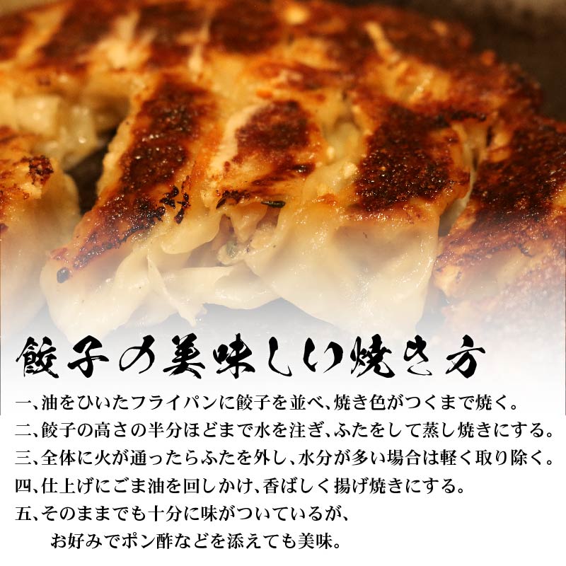 餃子 四万十ポーク手作り餃子 ご家庭用 40個