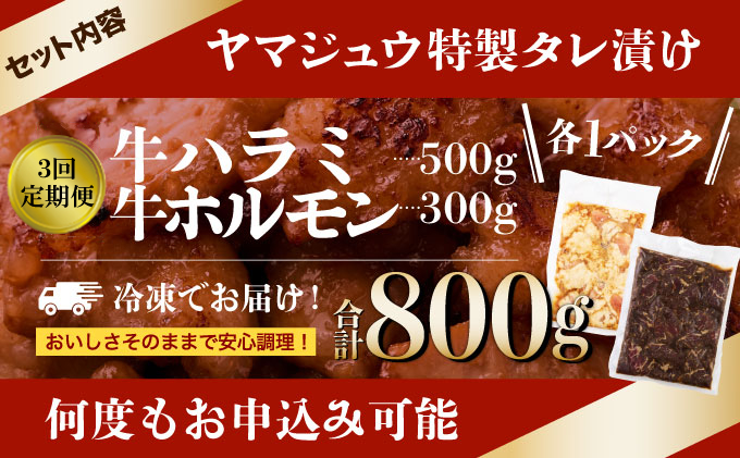 ヤマジュウの特選タレ漬け！牛ハラミ肉＆国産牛ホルモン計８００ｇ【３回定期便】