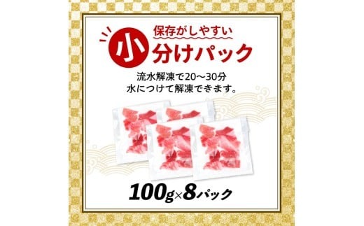 天然本マグロ 中とろ 赤身 切り落とし 800g 小分け(100g×8パック) 訳あり マグロ 刺身 カルパッチョ まぐろ丼 まぐろ漬け丼 魚 惣菜 海鮮丼 魚介類 食べきりサイズ 冷凍 不揃い