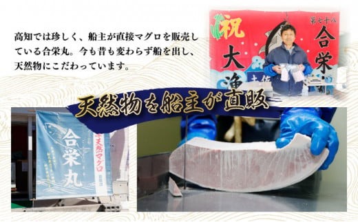 厳選 天然 本マグロ 中トロ・赤身 食べ比べセット 約600g | 中トロ 約200g 赤身 約400g | 本鮪 本まぐろ クロマグロ 魚 惣菜 まぐろ ワケアリ わけあり 訳あり 中とろ あかみ 刺身 さしみ 刺し身 冷凍 漬け 海鮮 丼 父の日 高知県 室戸市