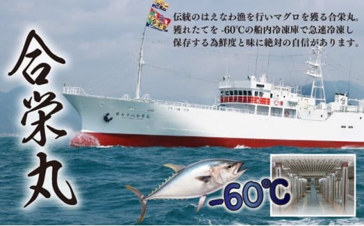 【室戸市】 厳選 天然 本マグロ 大トロ 中トロ 赤身 600g