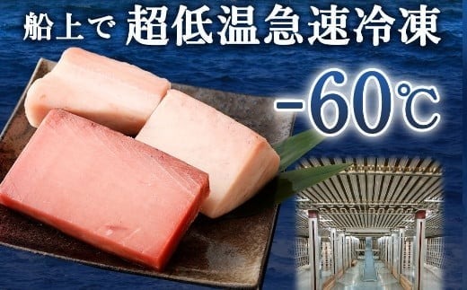 【 定期便 5回 】 厳選 天然マグロ 2種 セット 650g ( めばちマグロ 250g・ びんちょうまぐろ 400g) 2種類 ふるさと納税 限定 食べ比べ まぐろ 鮪 魚 魚介類 刺身 海鮮 まぐろ丼 手巻き寿司 海鮮丼 冷凍 サク 送料無料 目鉢 ビンチョウ さしみ 刺し身 頒布会 人気 定期便 数量限定 期間限定 訳アリ 訳あり わけあり 高知県 室戸市