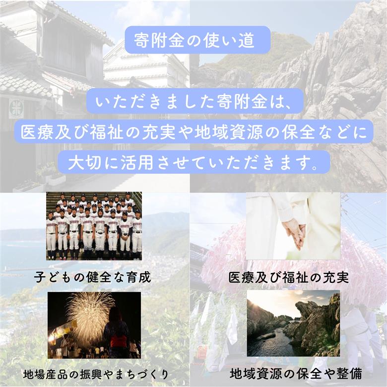 餃子 ヤマジュウの特選！四万十ポーク手作り餃子 60個