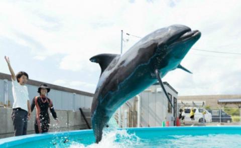 トレーナー体験３名（３歳以上小学生）