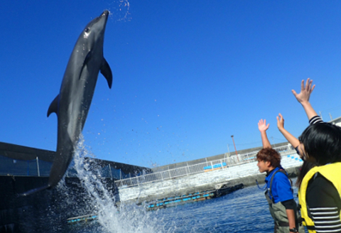 浅瀬ふれあい体験２名（中学生以上）