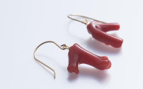 血赤珊瑚枝のアメリカンピアス