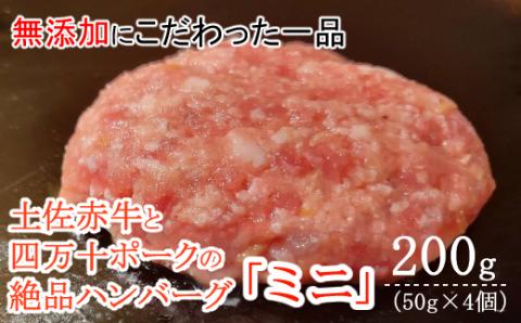 ハンバーガー屋の本気ミニハンバーグ200ｇ（50ｇ×4個） ＜ 国産 高知県産 牛肉 豚肉 ブランド肉 希少 土佐あかうし 四万十ポーク ＞