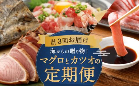 【定期便 3回】海からの贈り物！マグロとカツオの定期便 定期