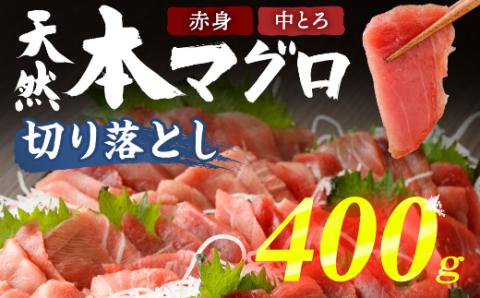 【高豊丸漁獲】天然本マグロ 赤身 中とろ 切落し400g 冷凍 お手軽 切り落とし 中トロ 赤身 セット 切落し 訳あり 高知県 室戸市