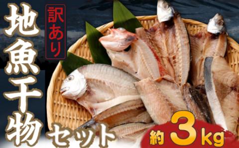 【訳あり】地魚干物セット（約３ｋｇ） 干物 セット 定期便 魚介類 室戸市