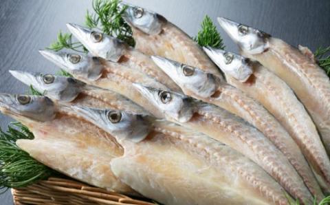 トロカマス干物セット（室戸海洋深層水仕込）