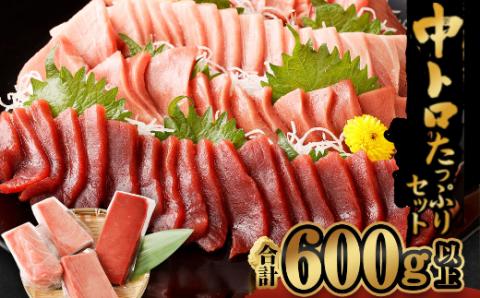 【室戸市】 厳選 天然 本マグロ 中トロ 赤身 600g
