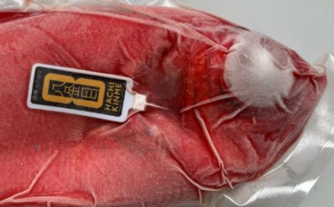 漁師直送　活き〆天然地金目鯛　【八金目】６００ｇ～８００ｇ　１匹　≪冷凍≫