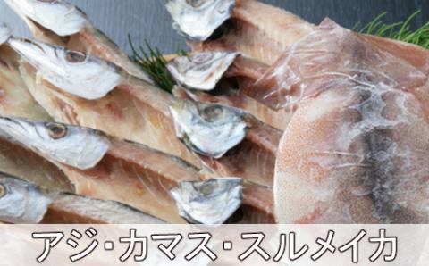 黒潮干物セット（１１枚）