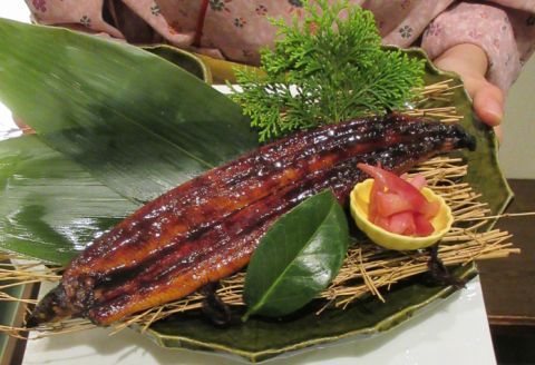 高知県産うなぎかば焼き