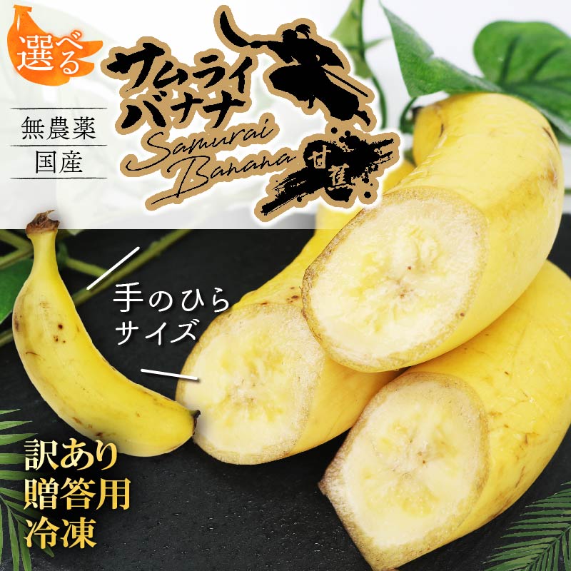 高知県産 侍バナナ｜無農薬・国産・農家直送 手のひらサイズ 3本 贈答用 訳あり 冷凍バナナ フルーツ 果物 ギフト 冷凍フルーツ バナナ サムライ スムージー 贈答用 3本(￥25,000)