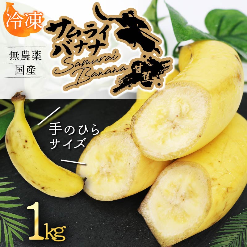 【冷凍フルーツ】高知県産 侍バナナ｜無農薬・国産・農家直送 手のひらサイズ 1kg バナナ フルーツ 果物 冷凍フルーツ バナナ サムライ スムージー ふるさと納税 冷凍バナナ 1kg（￥50,000）
