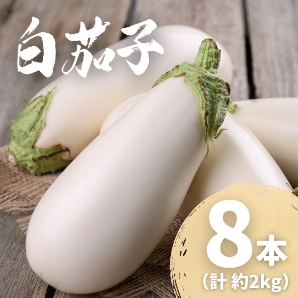 農家直送 白茄子 土佐の美味茄子の新鮮ナス 8本 2kg 野菜 なす ナス 常温 小袋 国産 夏野菜 茄子 小分け 旬 高知 白茄子 2kg （￥15,000）