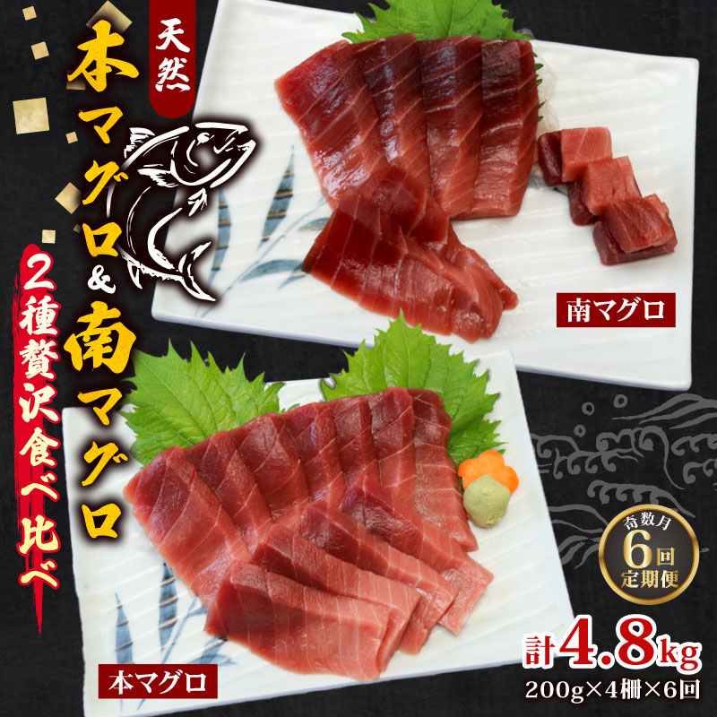 【６回定期便】天然本マグロ 天然南マグロ 中トロ 各２柵 奇数月  まぐろ 鮪 鮮魚 刺身 寿司 高級 食べ比べ