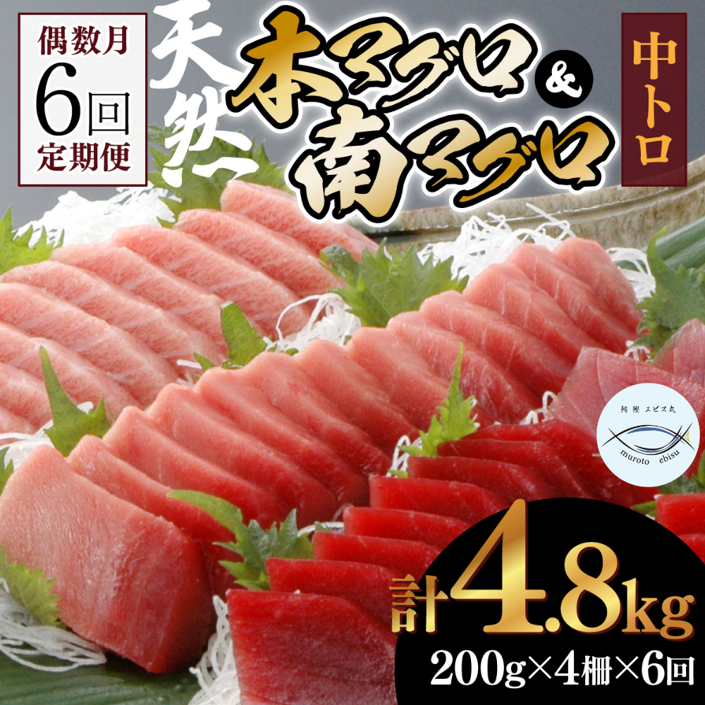 ６回定期便】天然本マグロ 天然南マグロ 中トロ 各２柵 偶数月にお届け: 室戸市ANAのふるさと納税