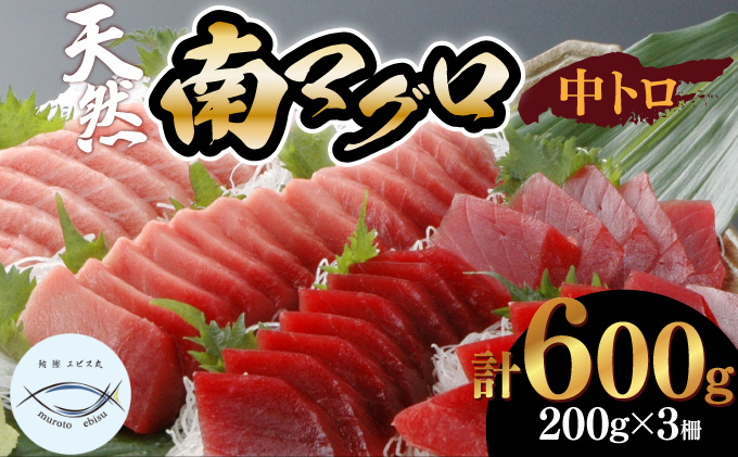 【中トロ】天然南マグロ　中トロ３柵【解凍書付】
