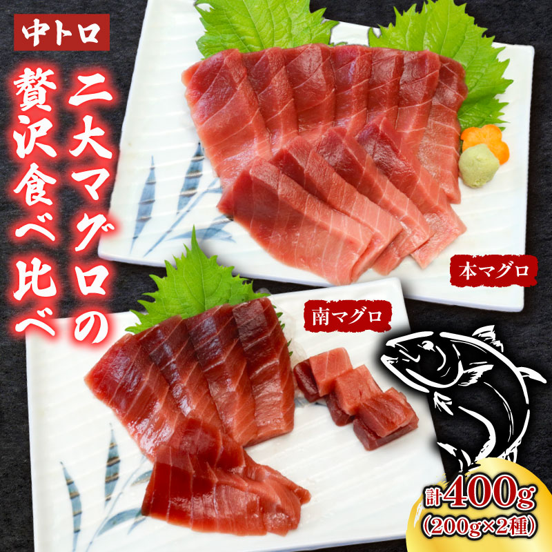 天然本マグロ　天然南マグロ　中トロ各１柵　（計４００ｇ）　食べ比べ 鮪 まぐろ 高級 贅沢 2種