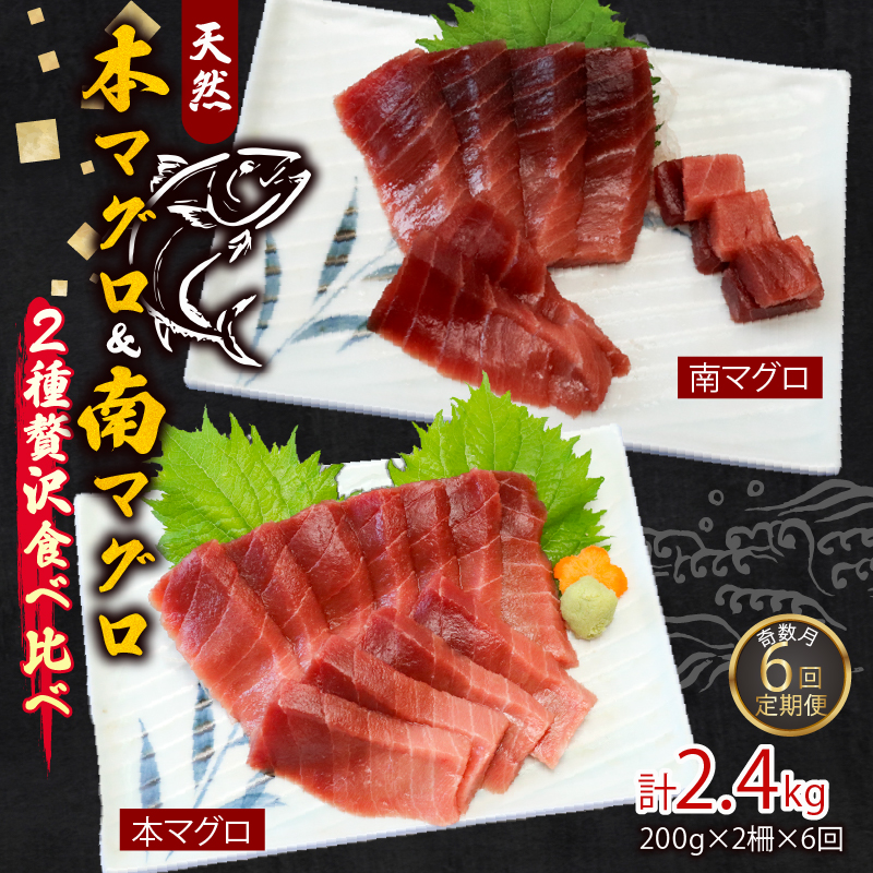 【６回定期便】天然本マグロ 天然南マグロ 中トロ 各1柵 奇数月  まぐろ 鮪 鮮魚 刺身 寿司 高級 食べ比べ