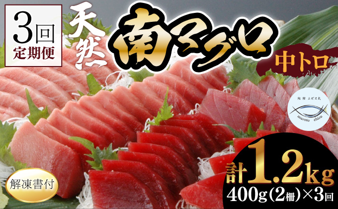【３回定期便】天然南マグロ　中トロ　２柵　解凍書付 海鮮 魚介 鮪 惣菜 冷凍 ミナミマグロ