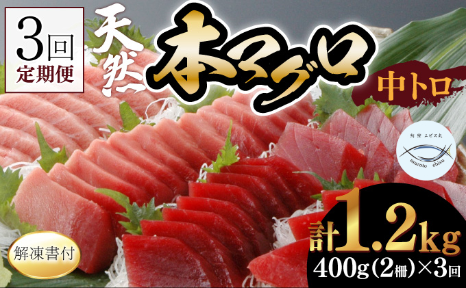 【３回定期便】天然本マグロ　中トロ　２柵　解凍書付 海鮮 魚介 鮪 惣菜 冷凍 クロマグロ