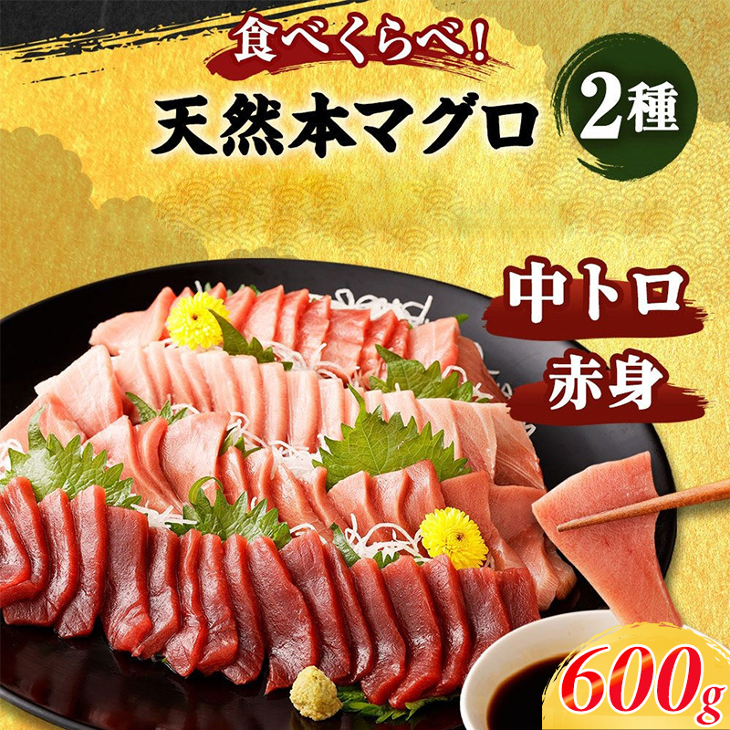 厳選 天然 本マグロ 中トロ・赤身 食べ比べセット 約600g | 中トロ 約200g 赤身 約400g | 本鮪 本まぐろ クロマグロ 魚 惣菜 まぐろ ワケアリ わけあり 訳あり 中とろ あかみ 刺身 さしみ 刺し身 冷凍 漬け 海鮮 丼 父の日 高知県 室戸市