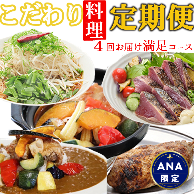【ANA限定】海土がお届けする定期便(４回発送コース) かつおのたたき 鰹 カツオ カレー たんたん麺 担々?