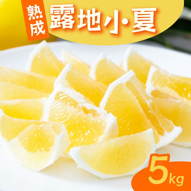 【2026年5月より発送】 熟成 露地小夏 5kg | 柑橘 フルーツ 果物 期間限定 旬の果物 ご家庭用 生産者 農家 直送 高知県 室戸市