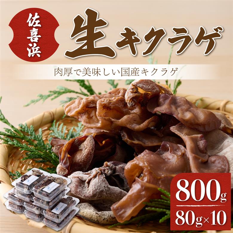 佐喜浜キクラゲ（生）　計８００ｇ（８０g×１０袋）