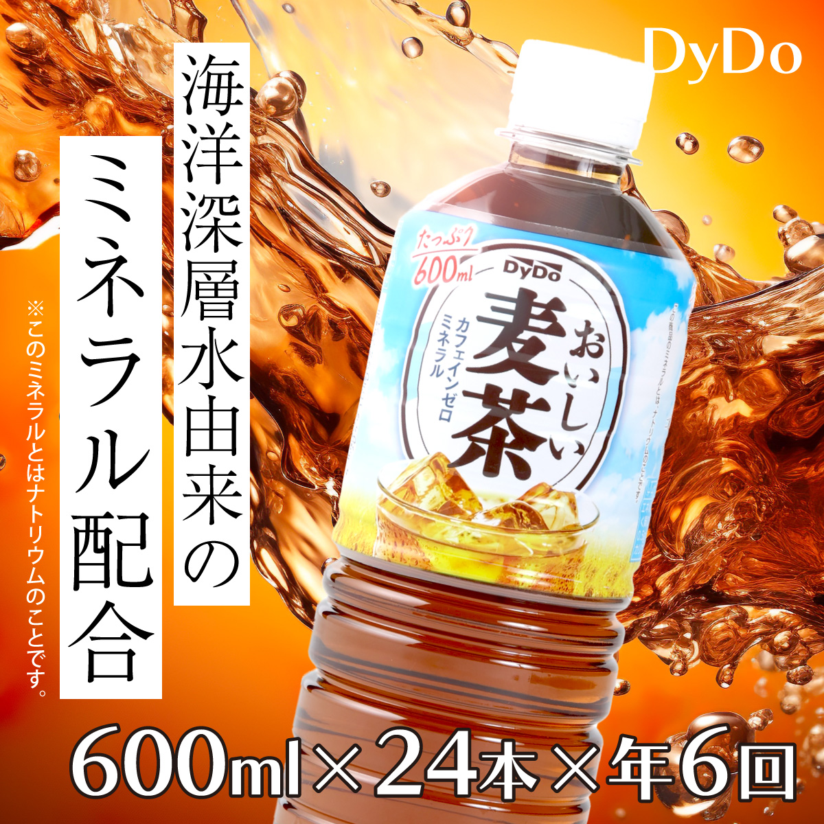 おいしい麦茶600ml×24本【年6回定期便】