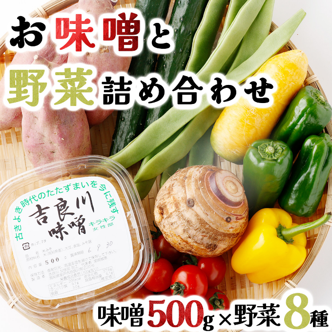 お味噌 (550g) 野菜 (8品) セット 詰め合わせ 旬 おまかせ 新鮮 やさい 味噌 みそ 吉良川みそ 調味料 高知県 室戸市 5000円 送料無料 rk014