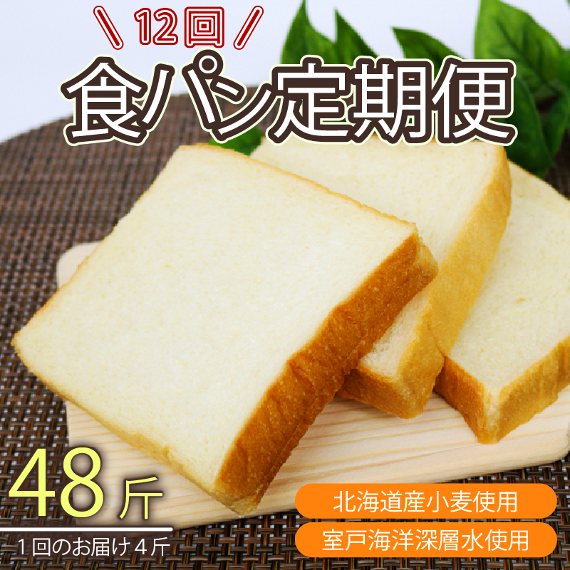 【室戸海洋深層水仕込み】深層水食パン年１２回定期便  食パン ぱん 朝食 ギフト 定期便 人気 食事パン おやつ ４斤×１２回