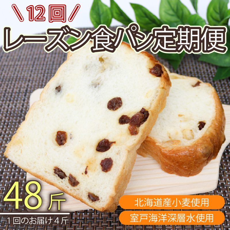 【室戸海洋深層水仕込み】レーズン食パン年１２回定期便  食パン ぱん 朝食 ギフト 定期便 人気 食事パン おやつ レーズン ぶどう ドライフルーツ４斤×１２回