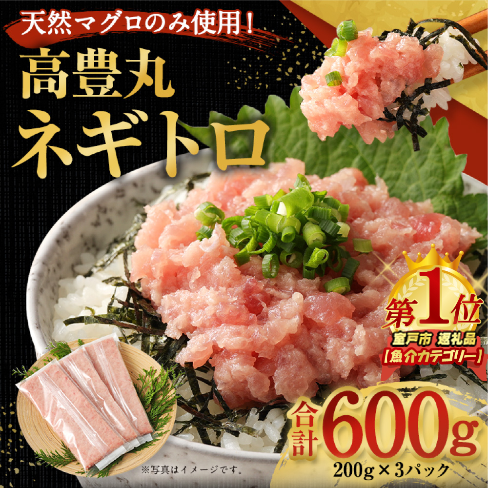 ネギトロ６００ｇ 天然 鮪 高知 まぐろたたき ねぎとろ 冷凍 小分け 便利